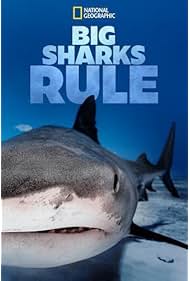 Big Sharks Rule (2018–)