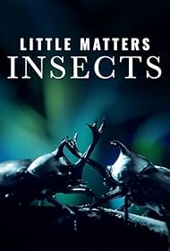 Little Matters Insects (2014)