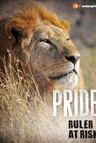 Pride Rulers at Risk (2016)