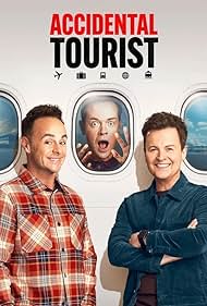 Accidental Tourist (2025)