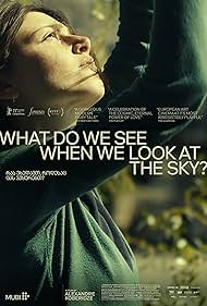 What Do We See When We Look at the Sky (2021)